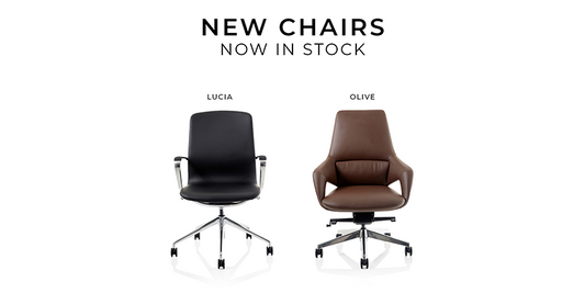 New Lucia & Olive Chairs Now in Stock
