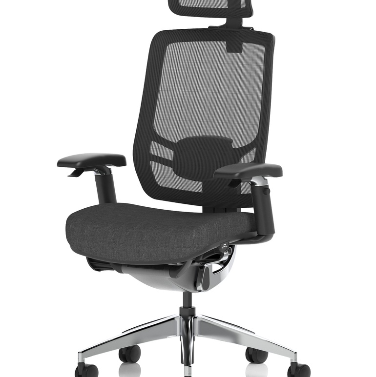 Ergo Click High Back Ergonomic Posture Office Chair with Arms