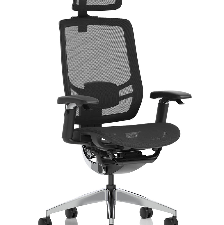 Ergo Click High Back Ergonomic Posture Office Chair with Arms