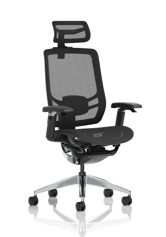 Ergo Click High Back Ergonomic Posture Office Chair with Arms