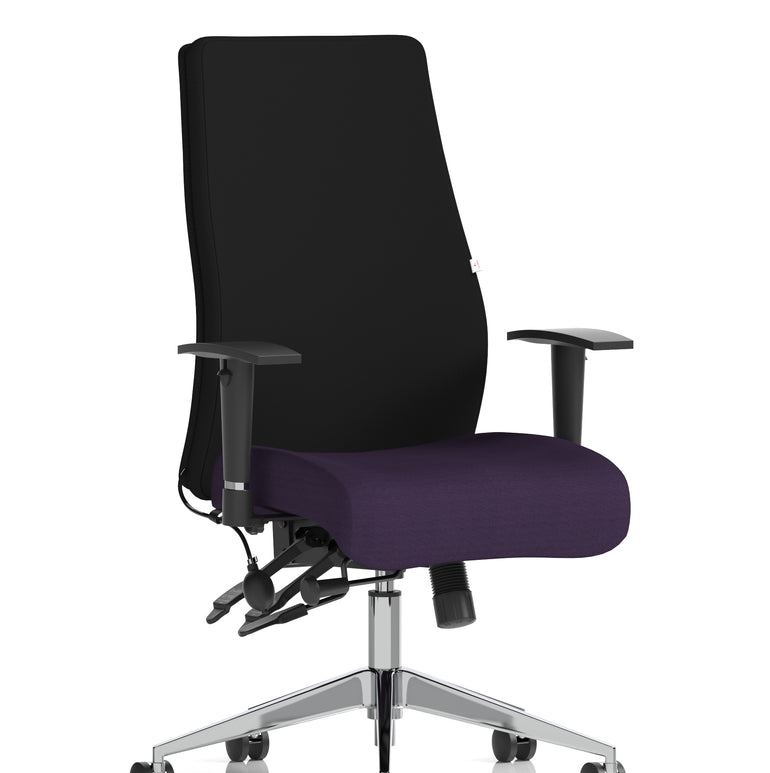 Onyx High Back Ergonomic Posture Chair with Height Adjustable Arms