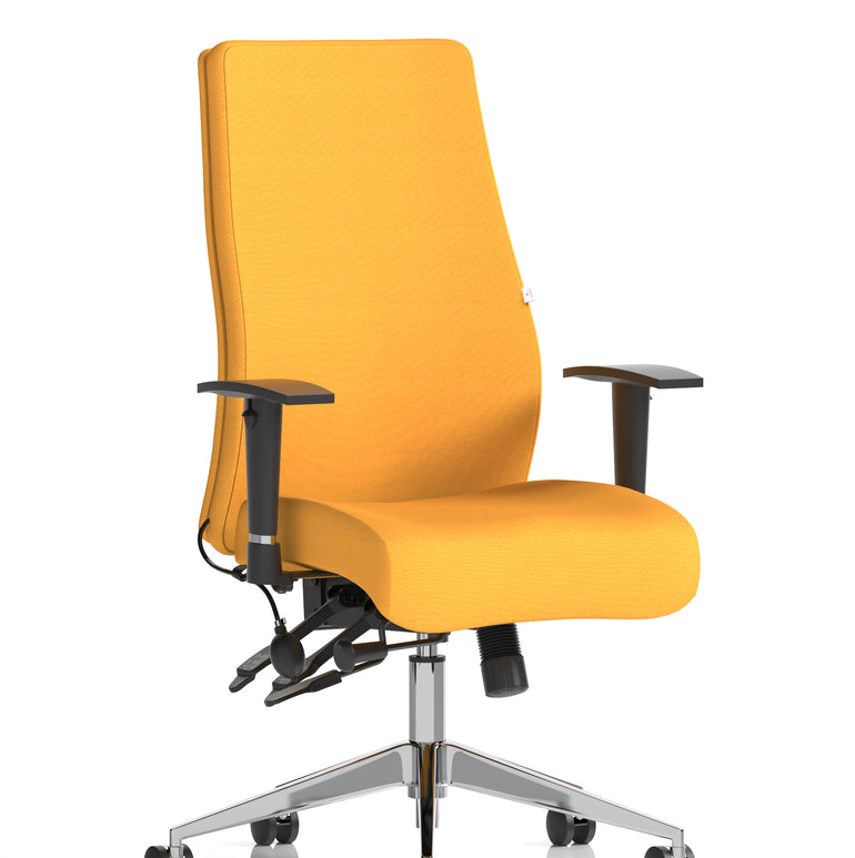 Onyx High Back Ergonomic Posture Chair with Height Adjustable Arms