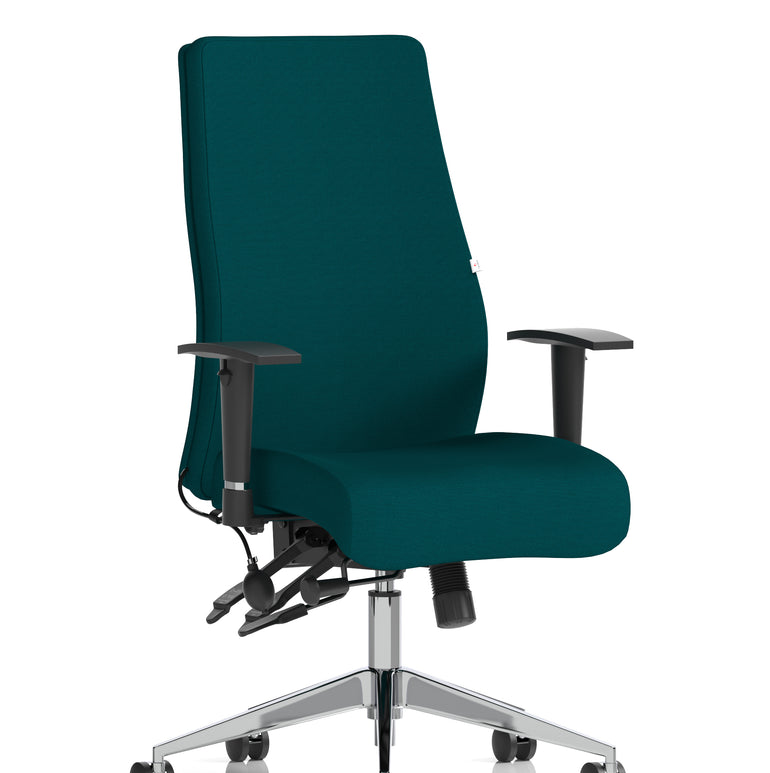 Onyx High Back Ergonomic Posture Chair with Height Adjustable Arms