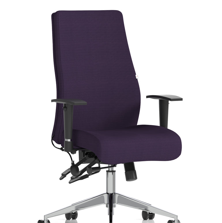 Onyx High Back Ergonomic Posture Chair with Height Adjustable Arms