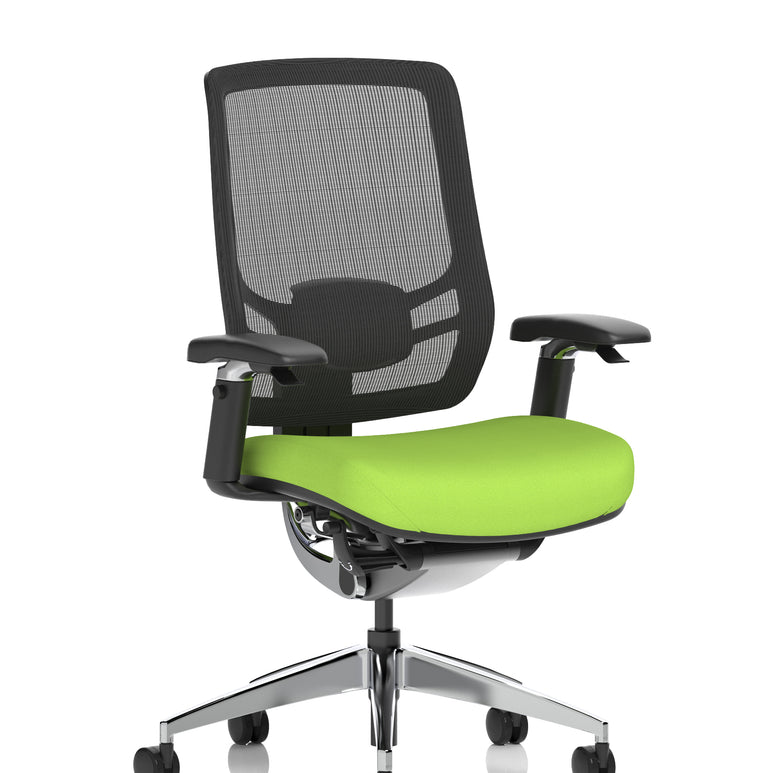 Ergo Click High Back Ergonomic Posture Office Chair with Arms