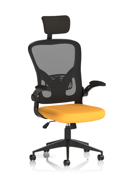 Ace Executive Mesh Chair With Folding Arms