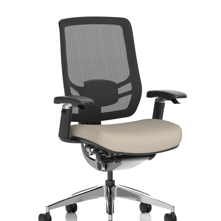 Ergo Click High Back Ergonomic Posture Office Chair with Arms