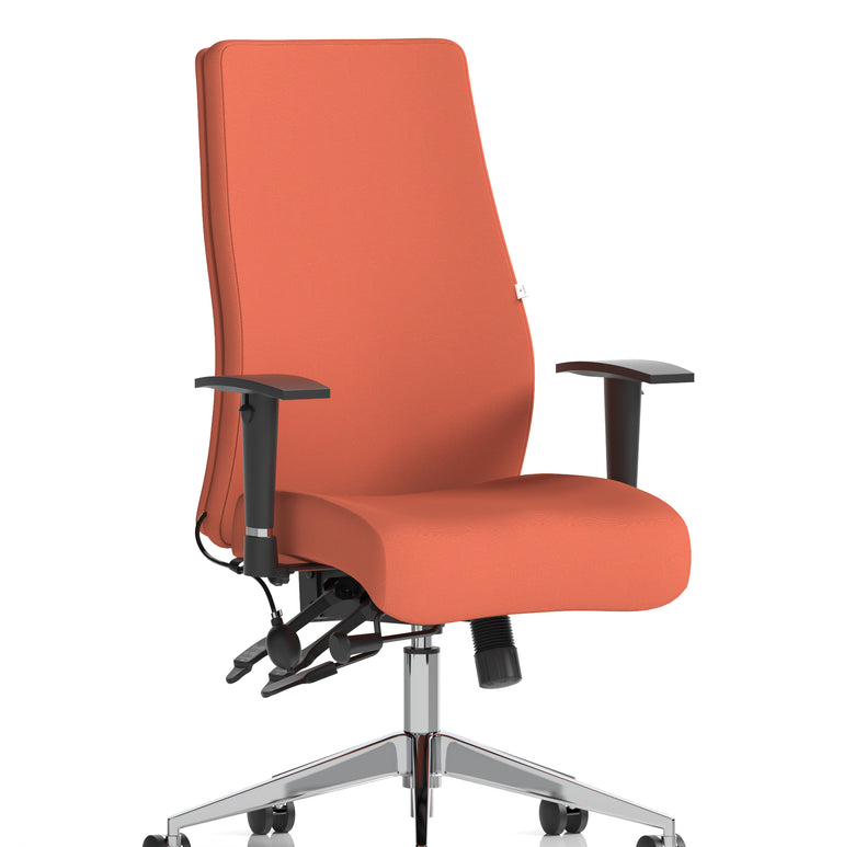 Onyx High Back Ergonomic Posture Chair with Height Adjustable Arms