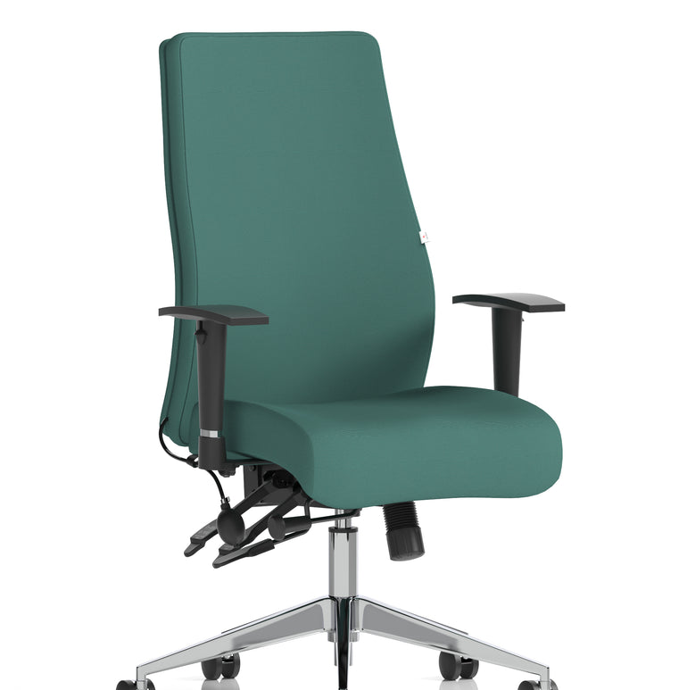 Onyx High Back Ergonomic Posture Chair with Height Adjustable Arms