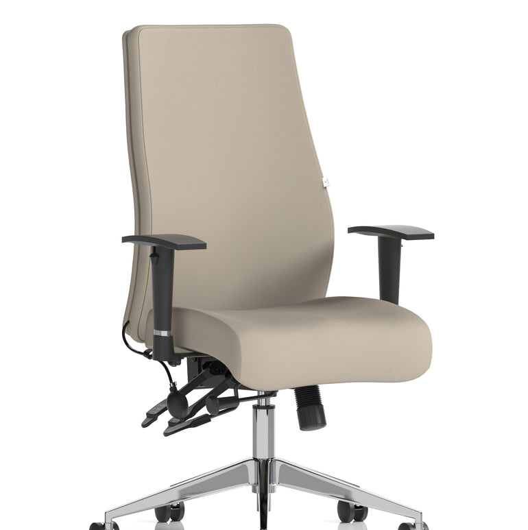 Onyx High Back Ergonomic Posture Chair with Height Adjustable Arms