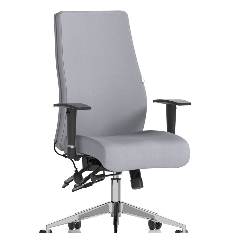 Onyx High Back Ergonomic Posture Chair with Height Adjustable Arms