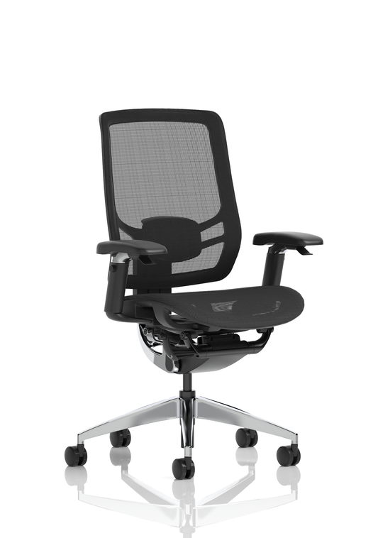 Ergo Click High Back Ergonomic Posture Office Chair with Arms