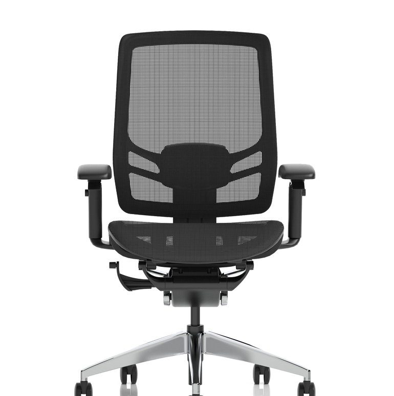 Ergo Click High Back Ergonomic Posture Office Chair with Arms