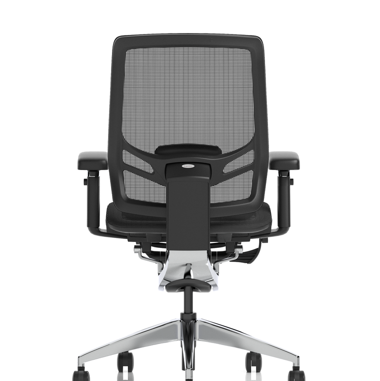 Ergo Click High Back Ergonomic Posture Office Chair with Arms