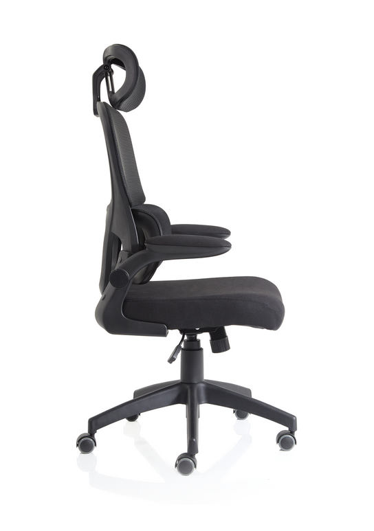 Opuntia ergonomic mesh task chair deals