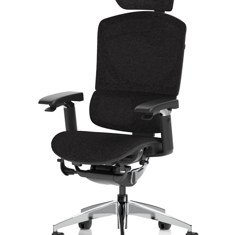 Ergo Click Plus High Back Ergonomic Posture Office Chair with Arms and Headrest