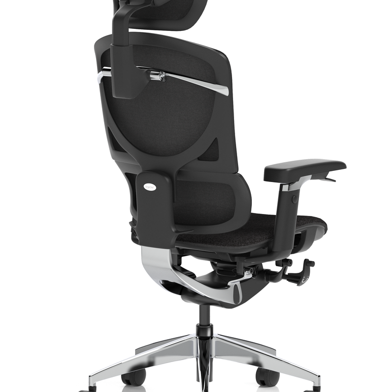 Ergo Click Plus High Back Ergonomic Posture Office Chair with Arms and Headrest