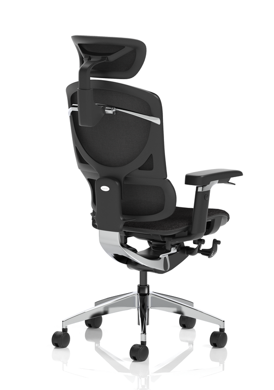 Ergo Click Plus High Back Ergonomic Posture Office Chair with Arms and Headrest