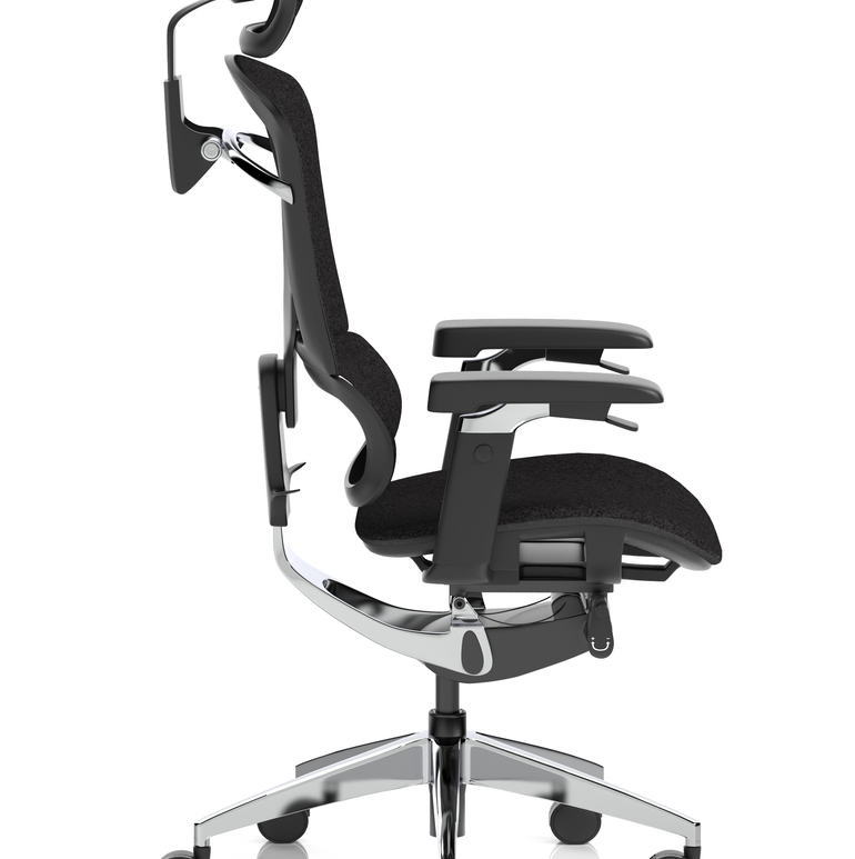 Ergo Click Plus High Back Ergonomic Posture Office Chair with Arms and Headrest