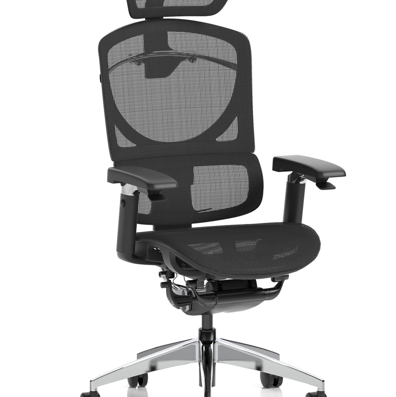Ergo Click Plus High Back Ergonomic Posture Office Chair with Arms and Headrest