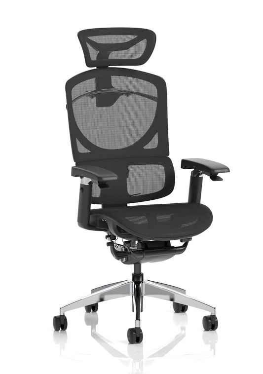 Ergo Click Plus High Back Ergonomic Posture Office Chair with Arms and Headrest