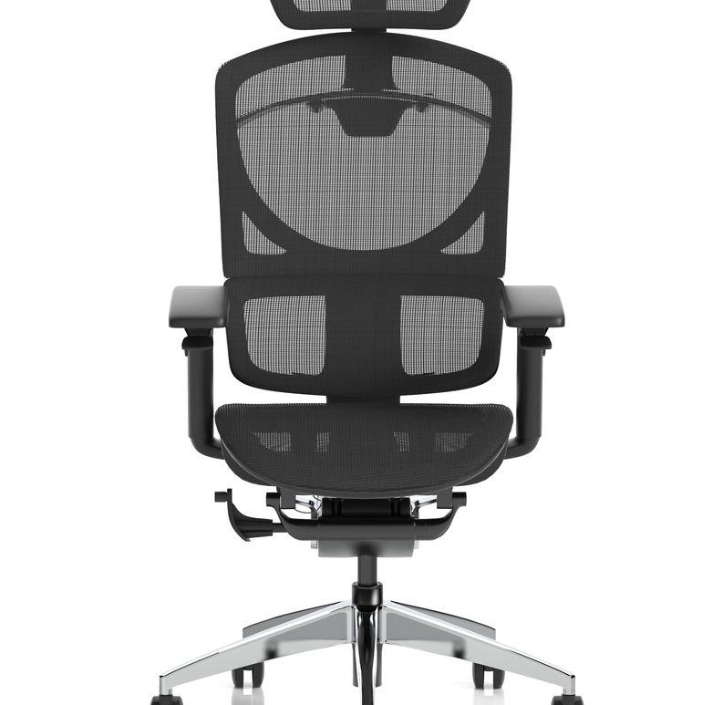 Ergo Click Plus High Back Ergonomic Posture Office Chair with Arms and Headrest