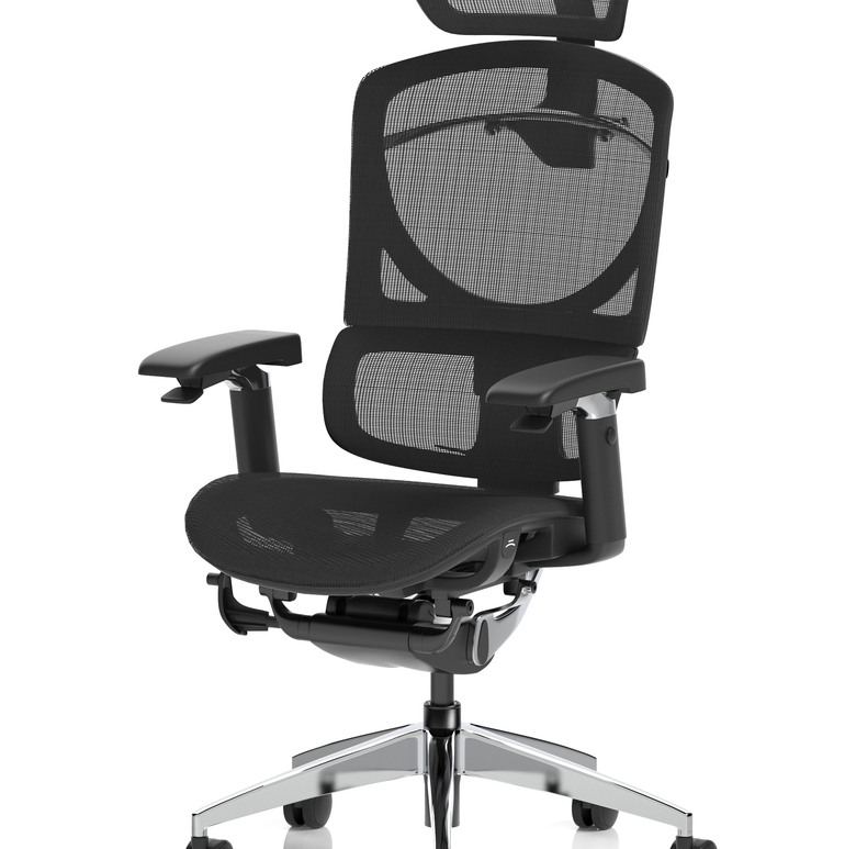 Ergo Click Plus High Back Ergonomic Posture Office Chair with Arms and Headrest