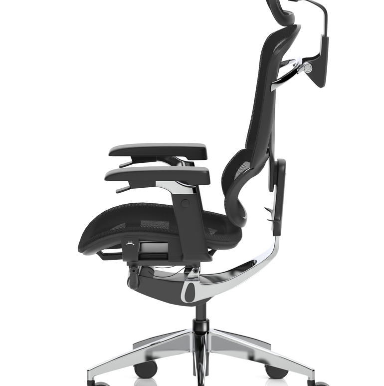 Ergo Click Plus High Back Ergonomic Posture Office Chair with Arms and Headrest