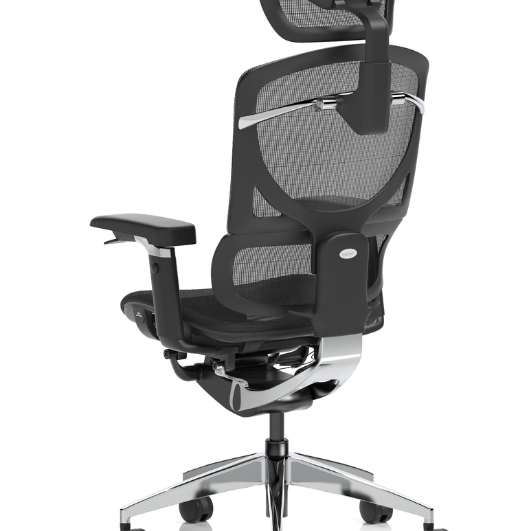Ergo Click Plus High Back Ergonomic Posture Office Chair with Arms and Headrest