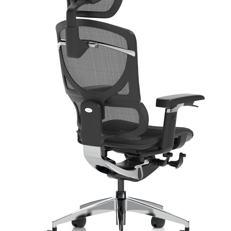Ergo Click Plus High Back Ergonomic Posture Office Chair with Arms and Headrest