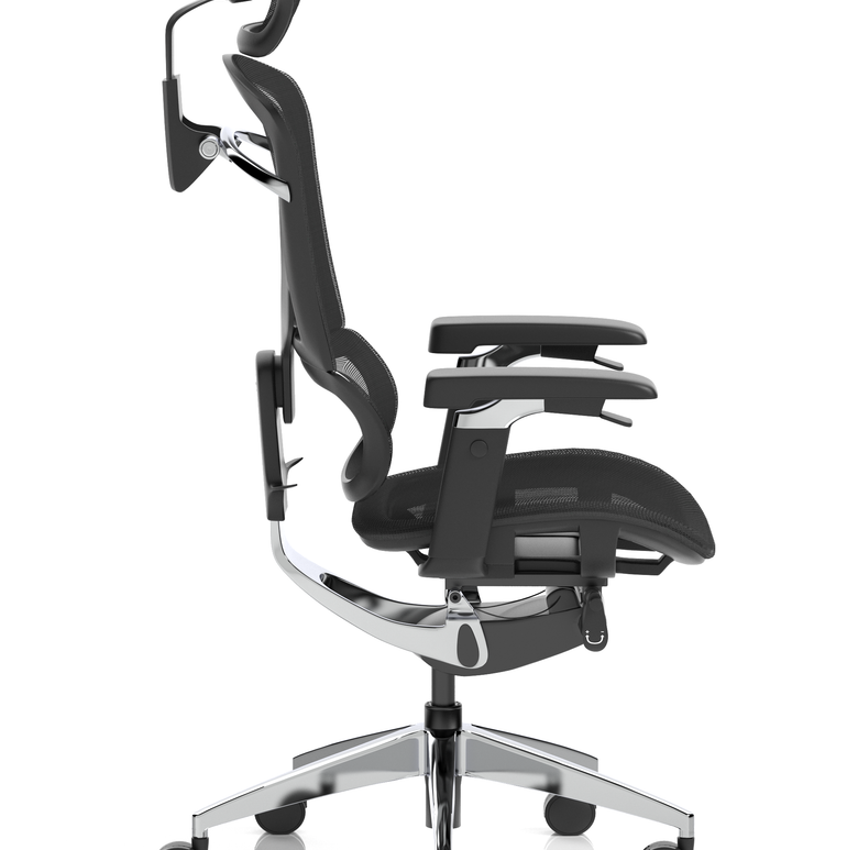 Ergo Click Plus High Back Ergonomic Posture Office Chair with Arms and Headrest
