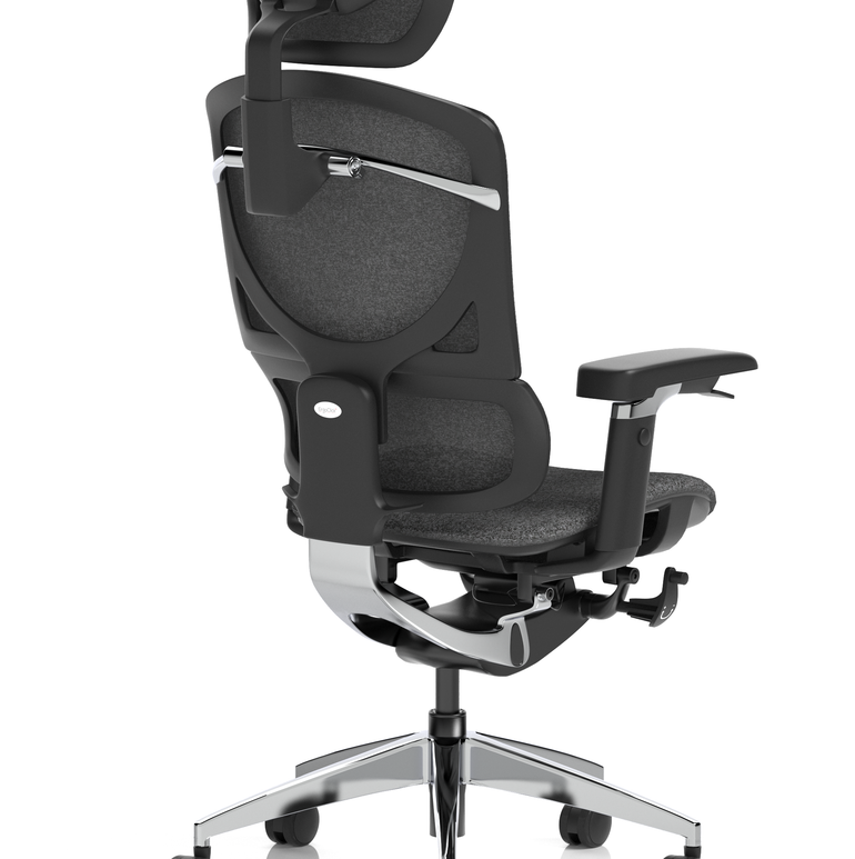 Ergo Click Plus High Back Ergonomic Posture Office Chair with Arms and Headrest