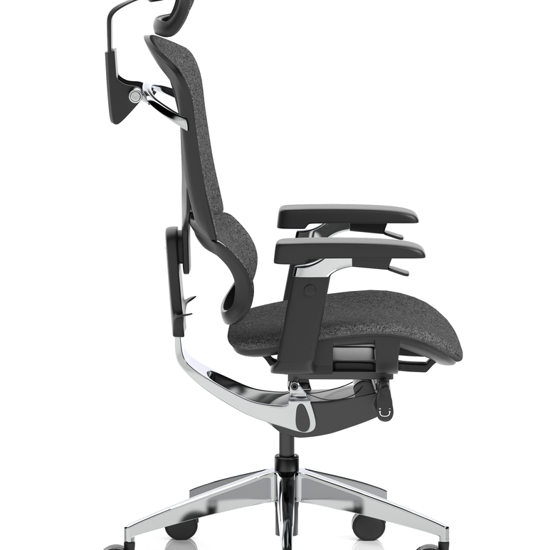 Ergo Click Plus High Back Ergonomic Posture Office Chair with Arms and Headrest