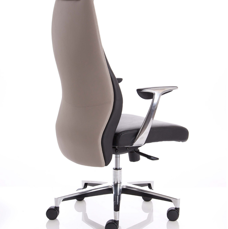 Mien High Back Leather Executive Office Chair