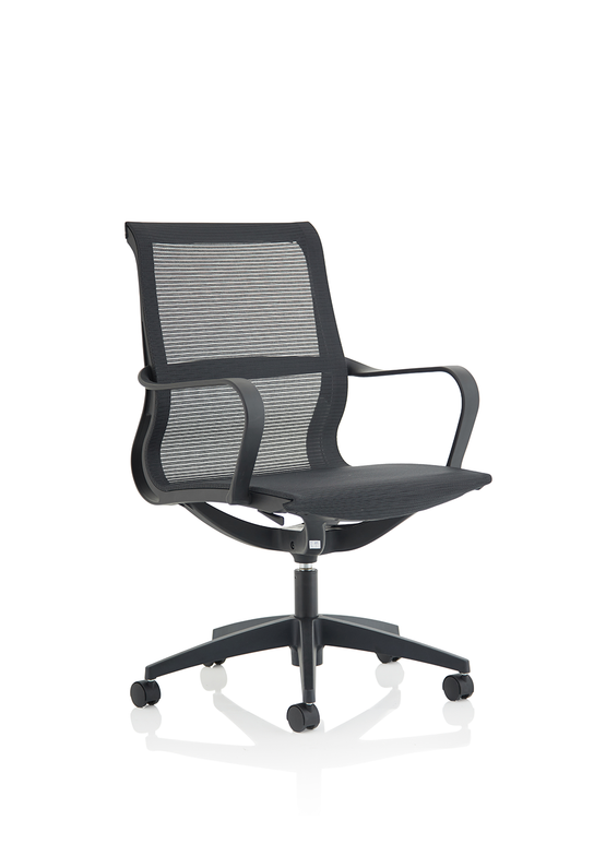 Lula Medium Mesh Back Executive Office Chair with Arms