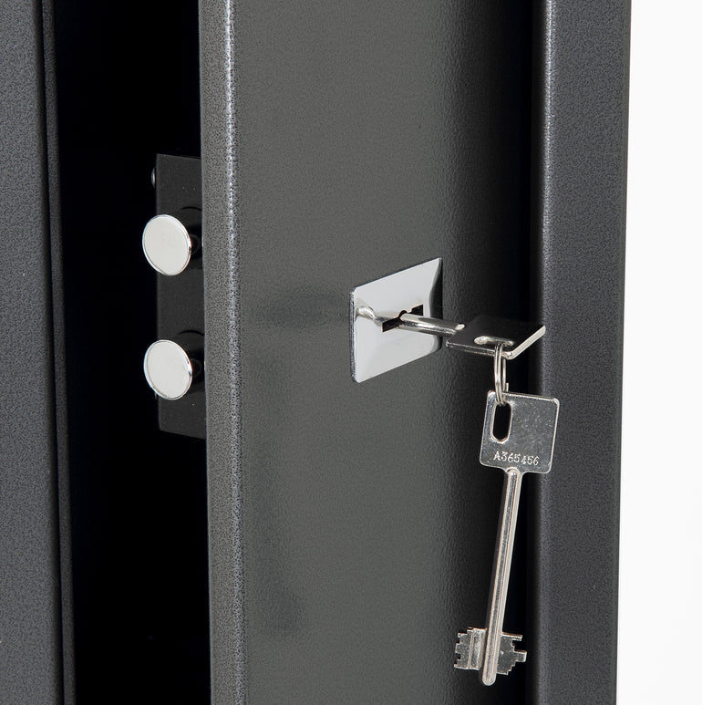 Phoenix Lacerta Gun Safe